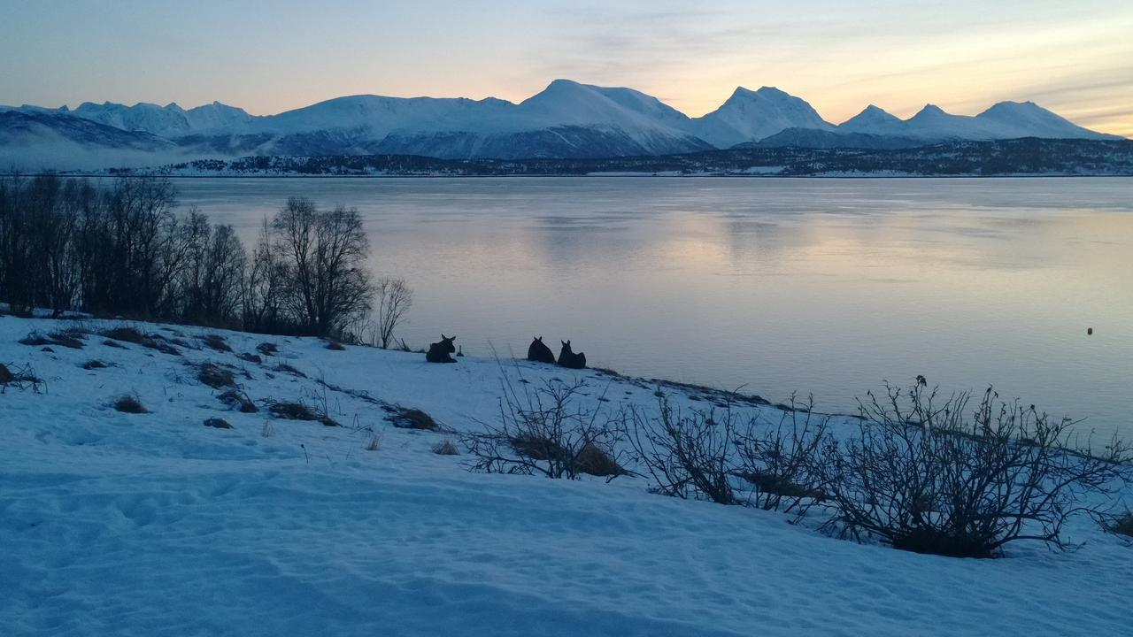 Bustad Larseng Eksteriør bilde